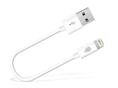 Apple iPad 3 / iPad New Model n: A1416-A1430 - Sync Data and Charging cable Usb A - Lightning White 20 cm