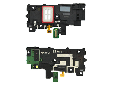 Samsung SM-G998 Galaxy S21 Ultra 5G - Rear Cover + Speaker